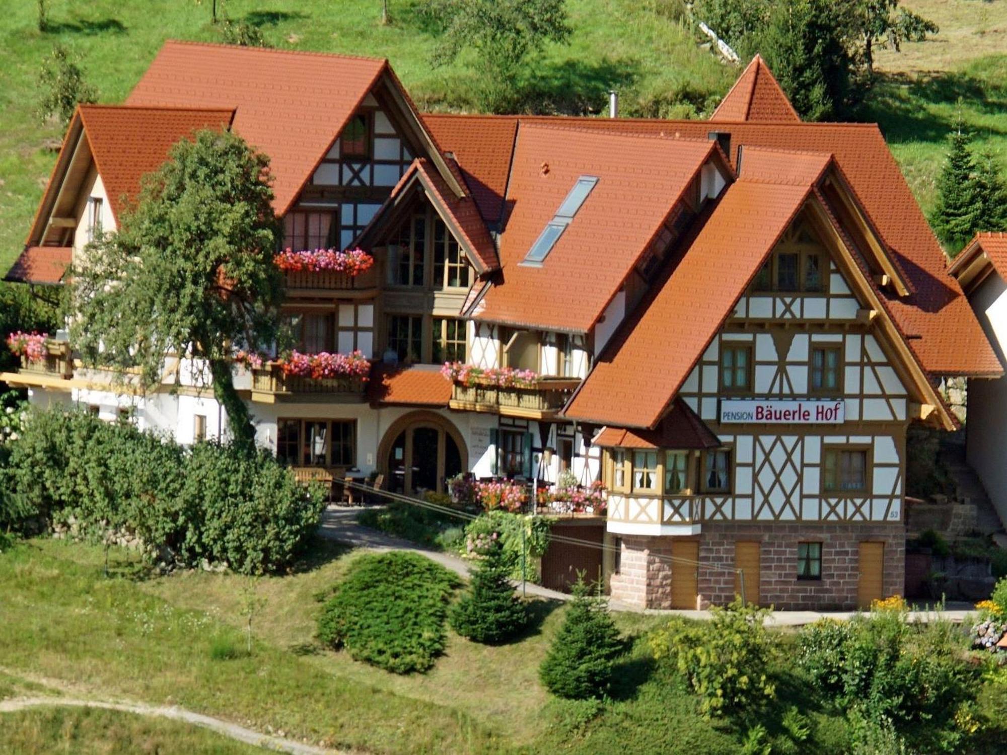 Baeuerlehof Hotell Seebach Eksteriør bilde